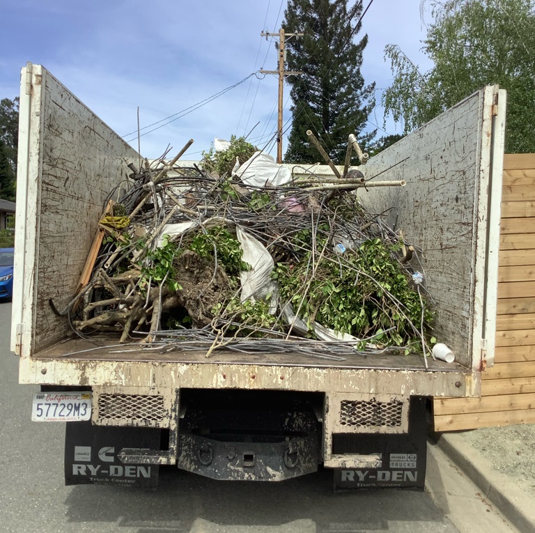 Top Junk truck fully loaded with yard debris and green waste after a Bay Area cleanout job